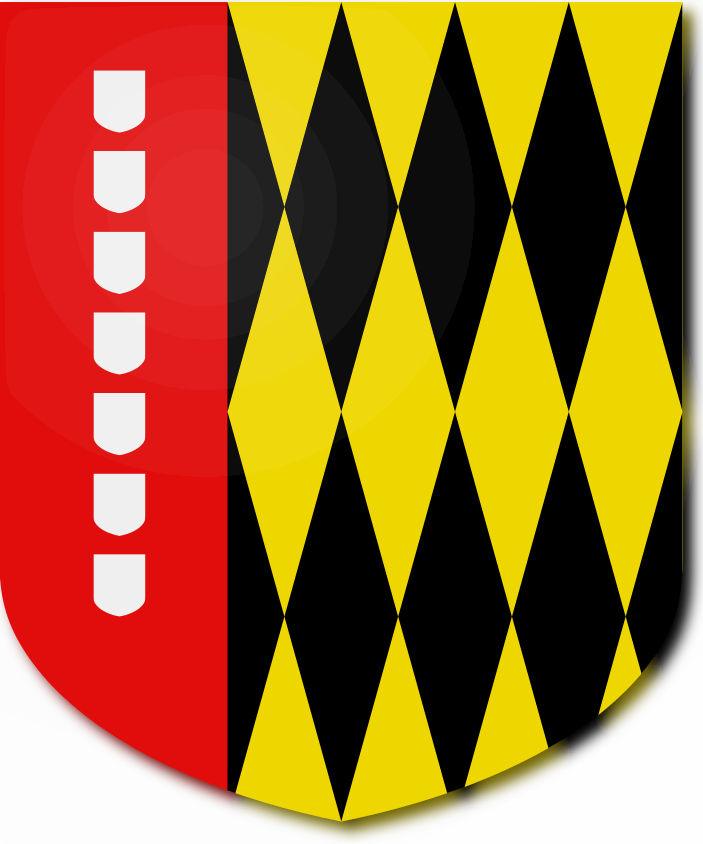 Shield image