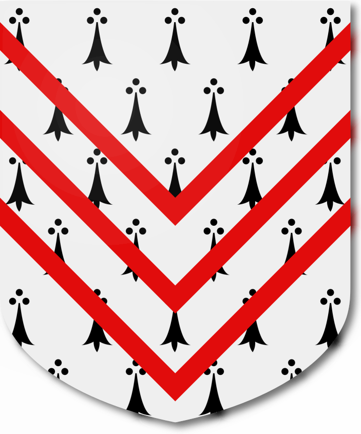 Shield image