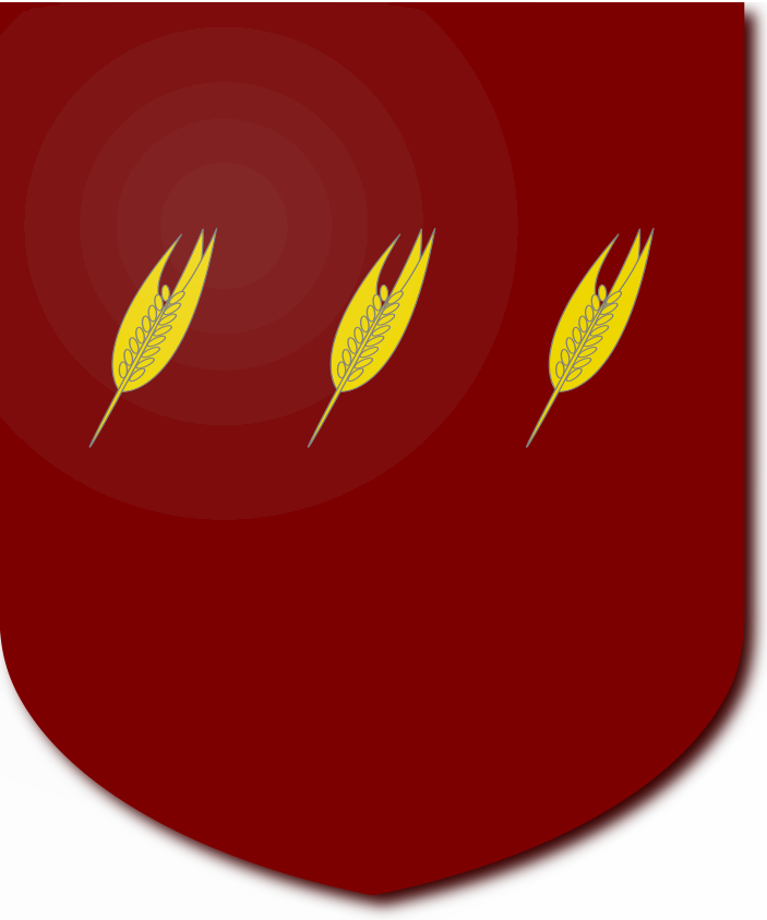 Shield image