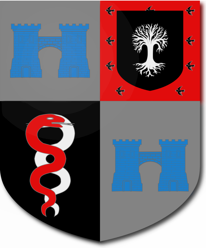 Shield image