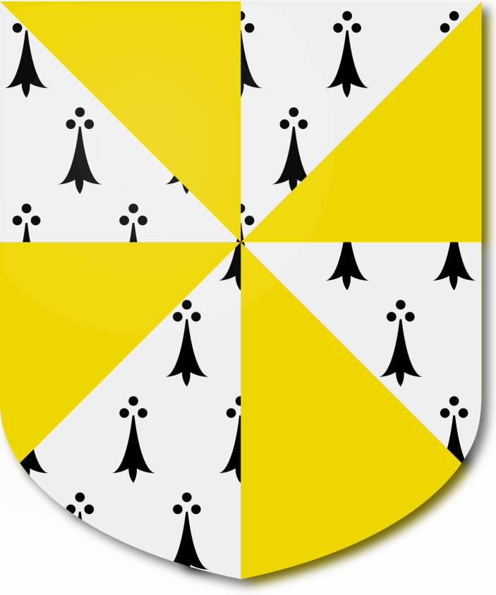 Shield image