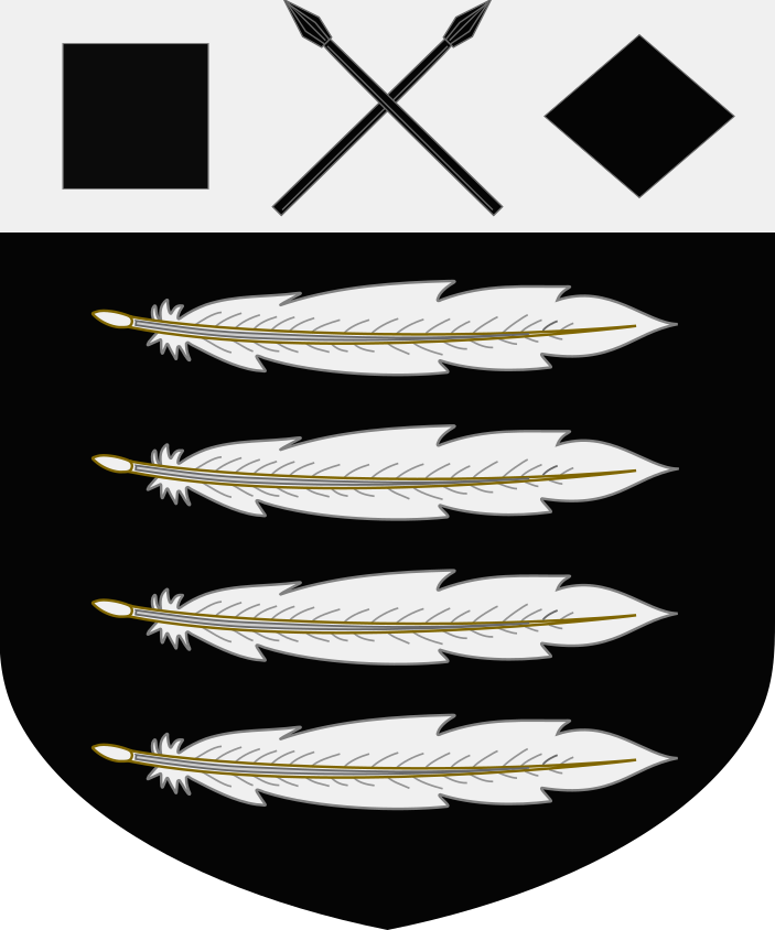 Shield image