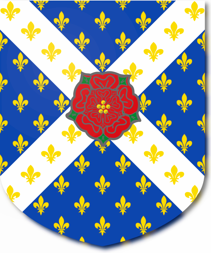 Shield image