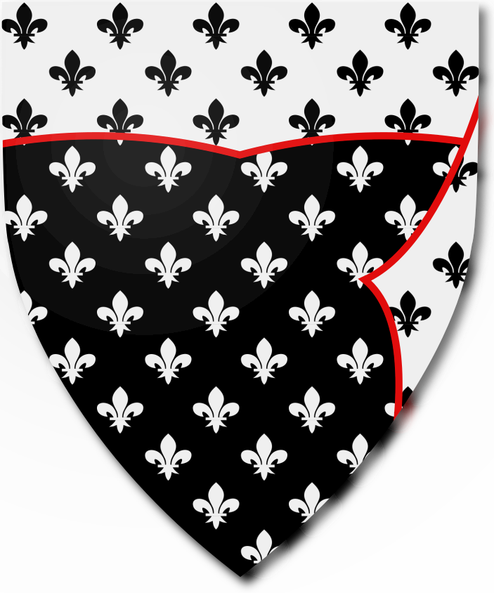 Shield image