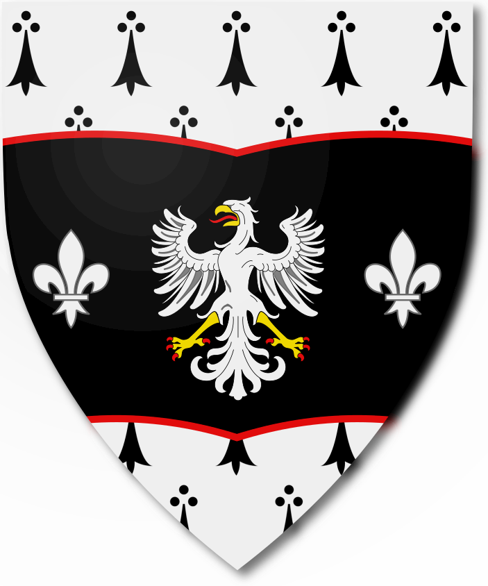 Shield image