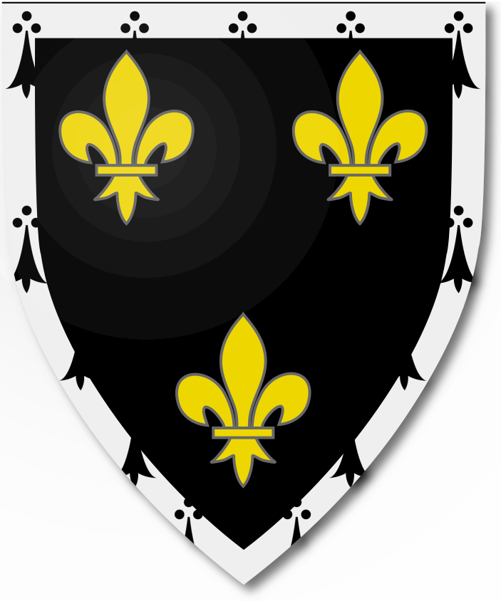 Shield image