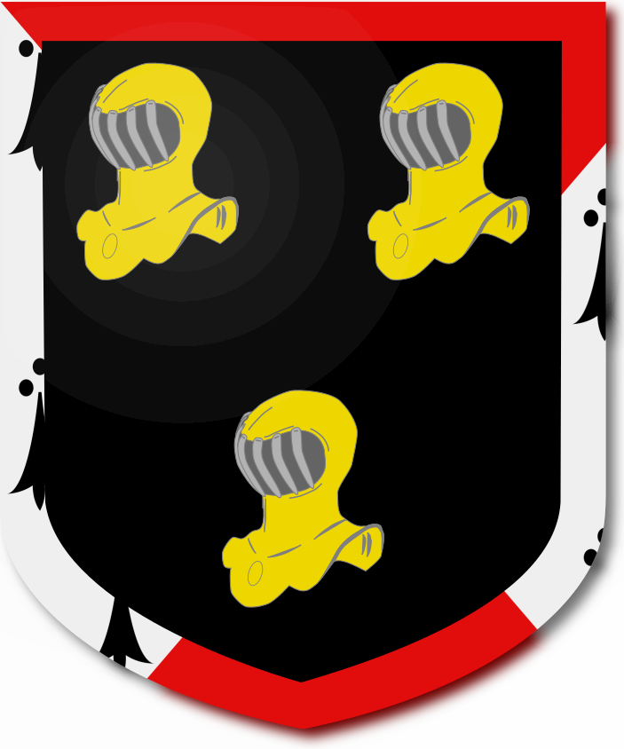 Shield image