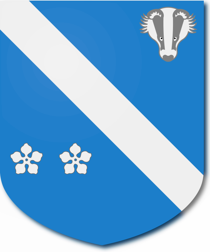 Shield image