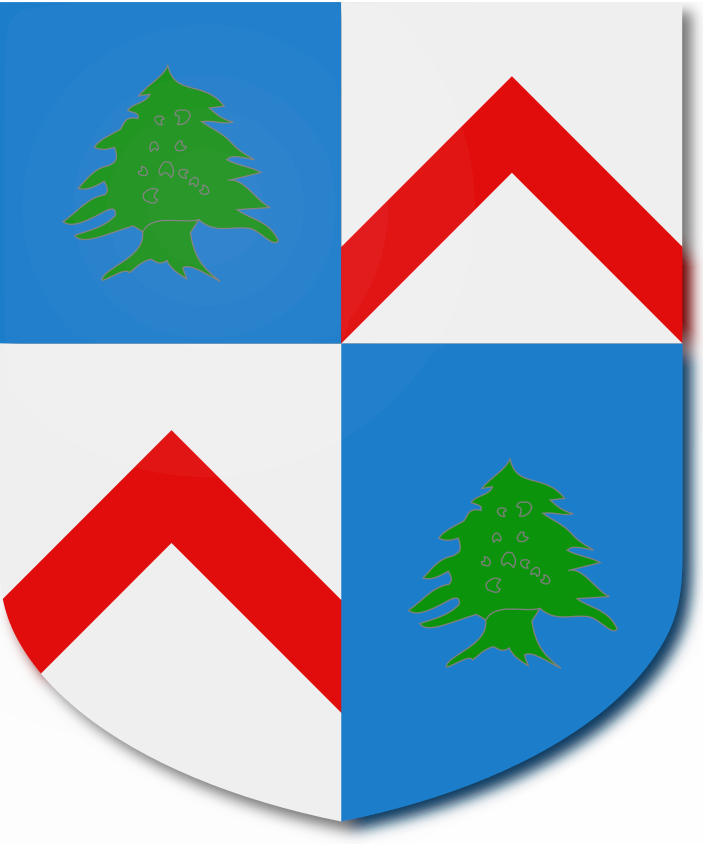 Shield image