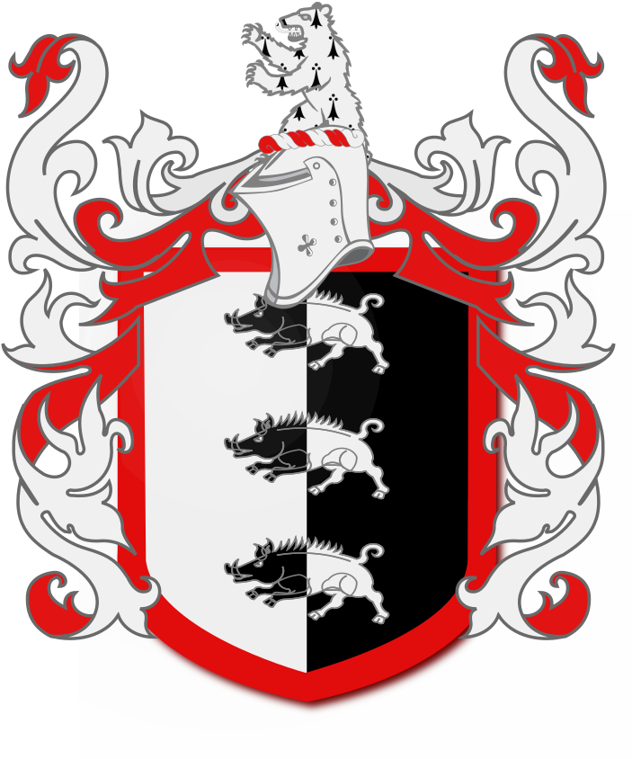 Shield image