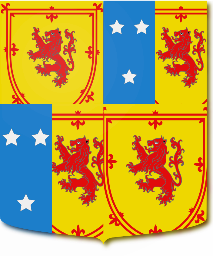 Shield image