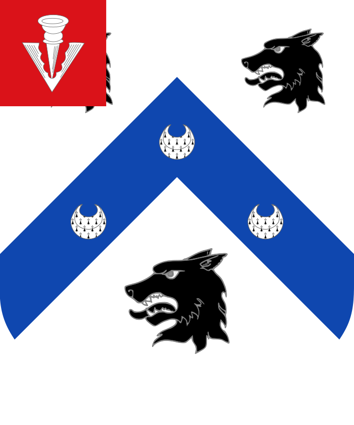 Shield image