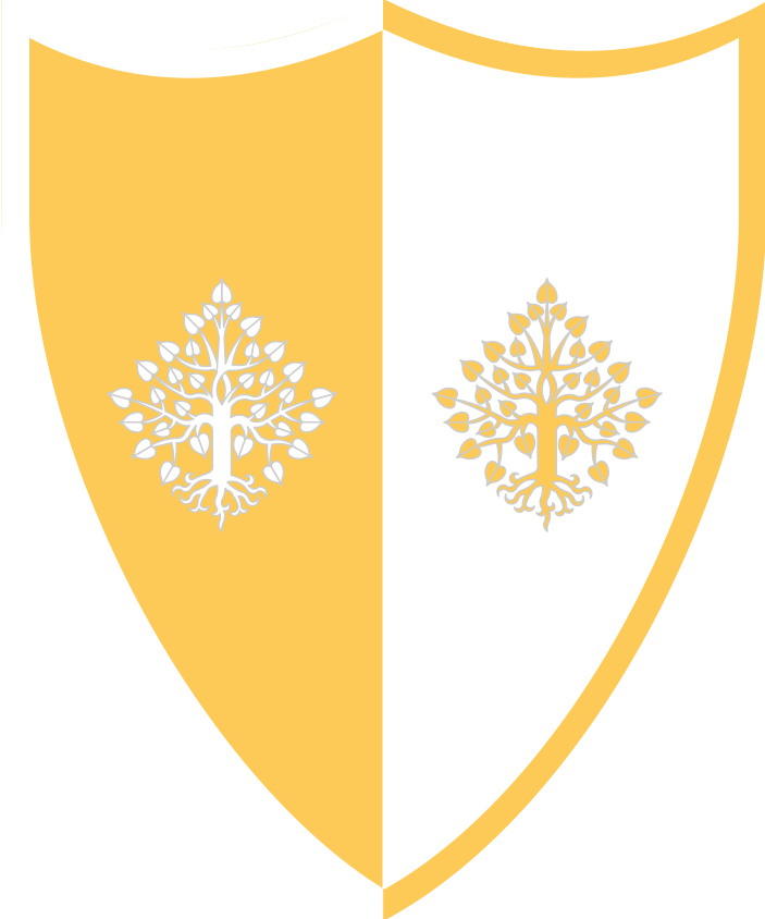 Shield image