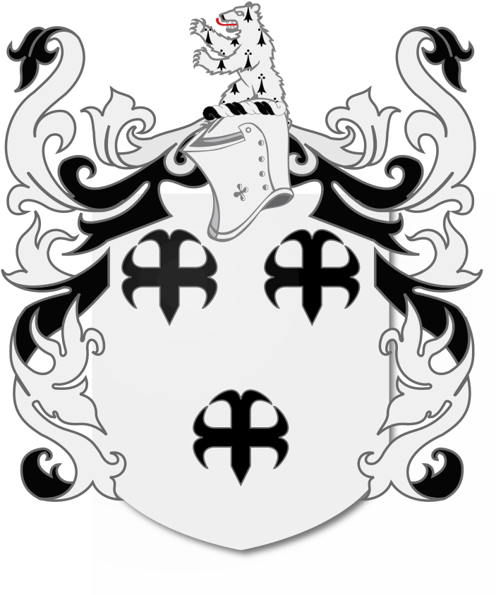 Shield image