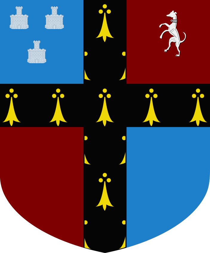 Shield image