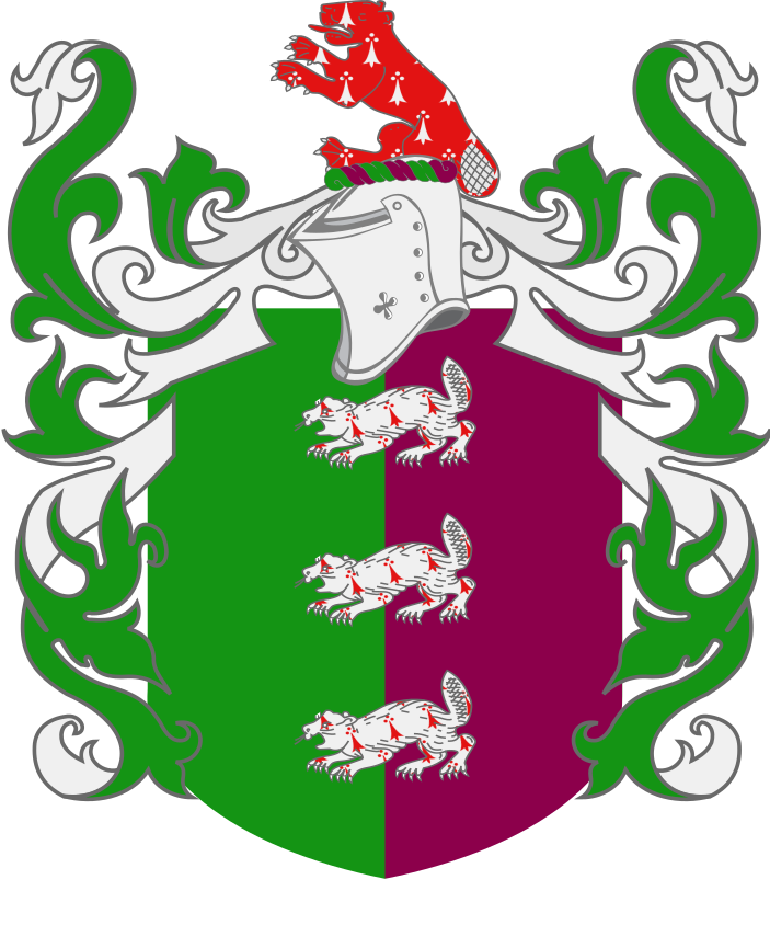 Shield image