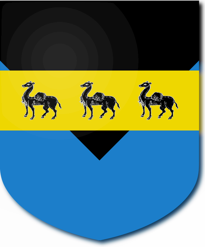 Shield image