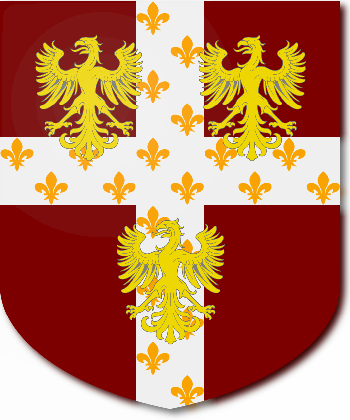 Shield image