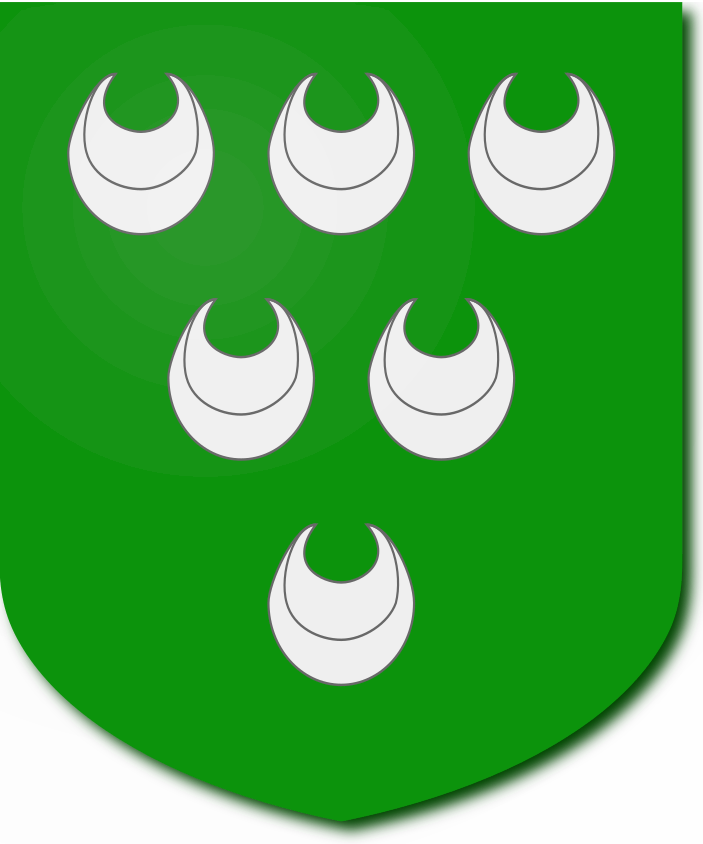 Shield image