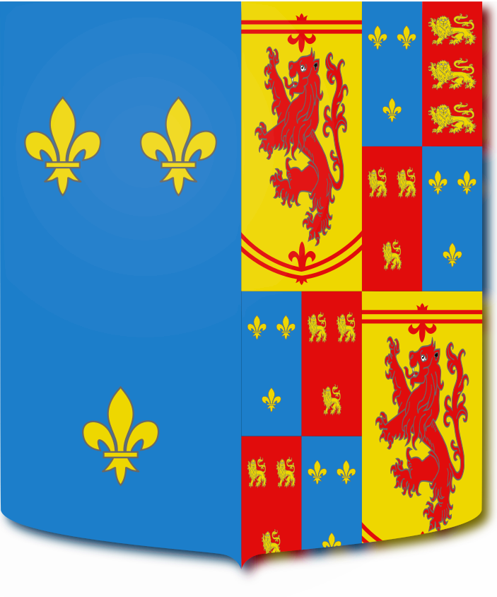 Shield image