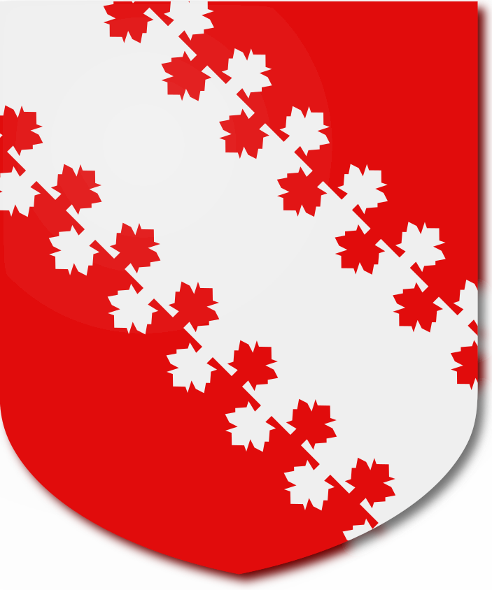 Shield image