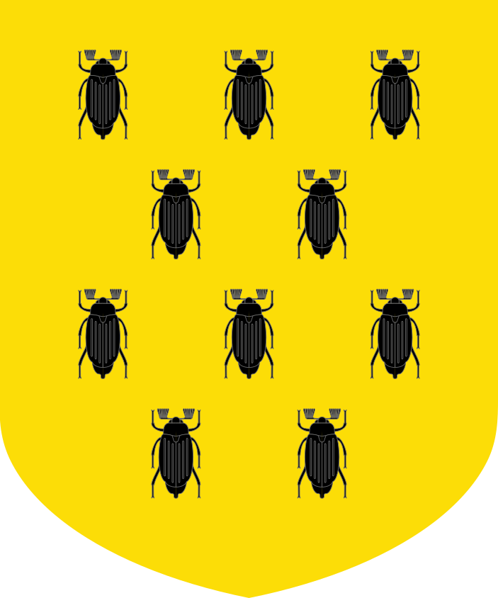 Shield image