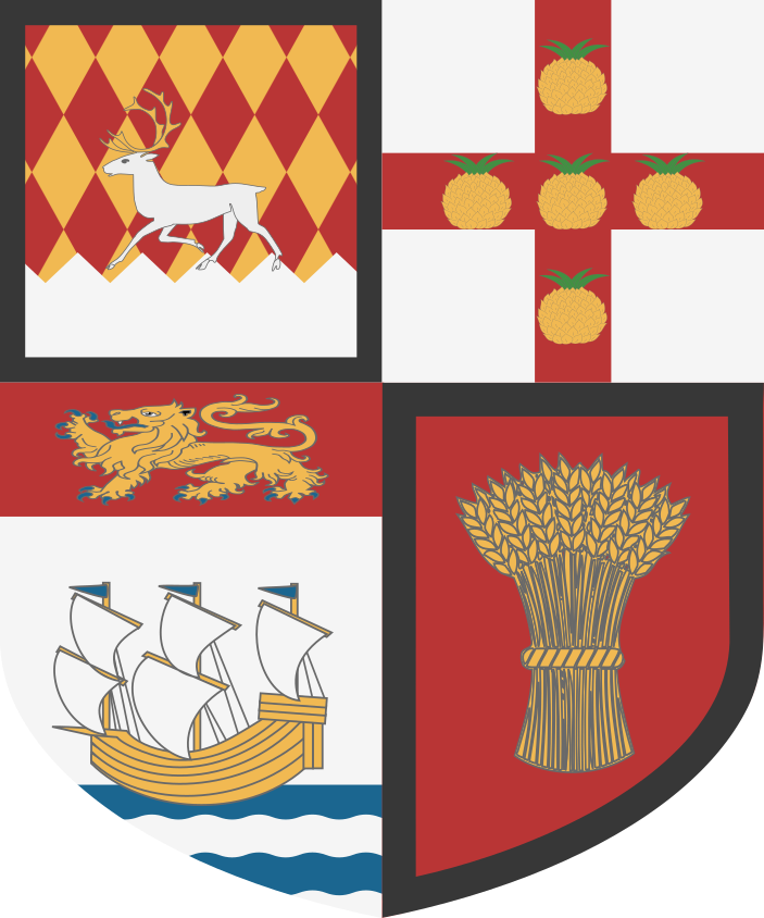 Shield image