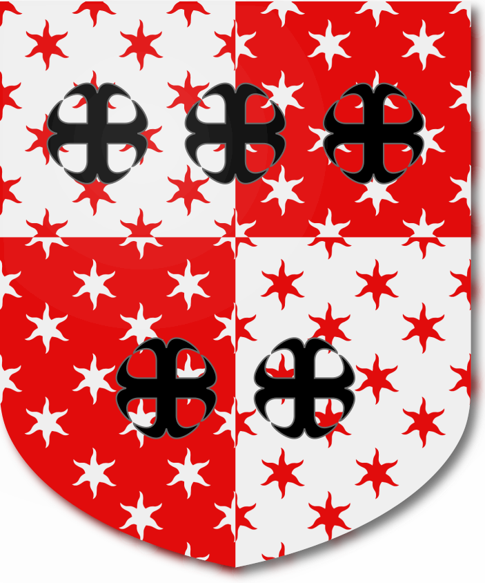 Shield image