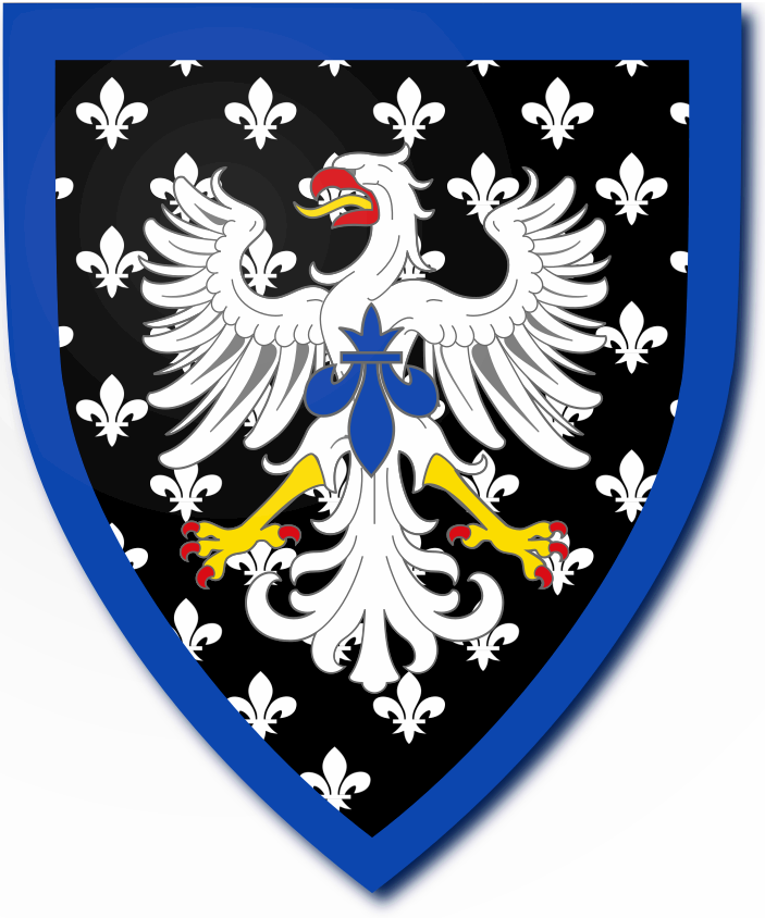 Shield image