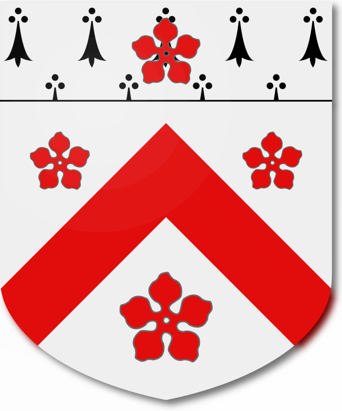 Shield image