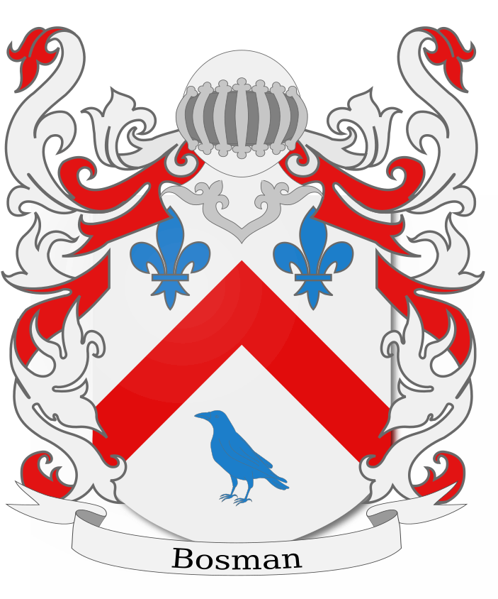 Shield image