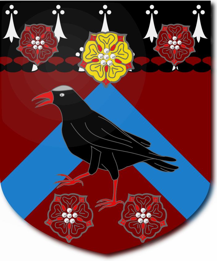 Shield image