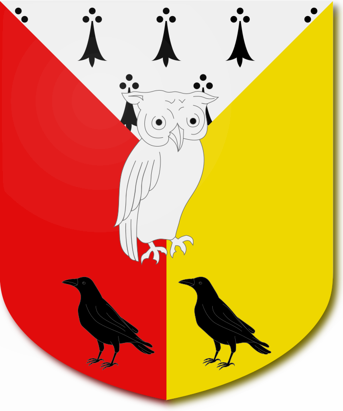 Shield image