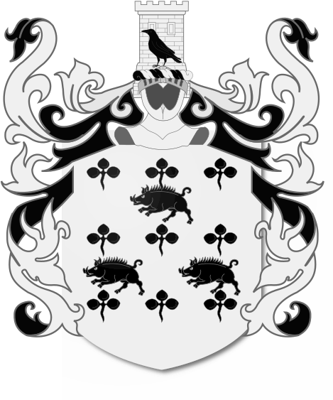 Shield image