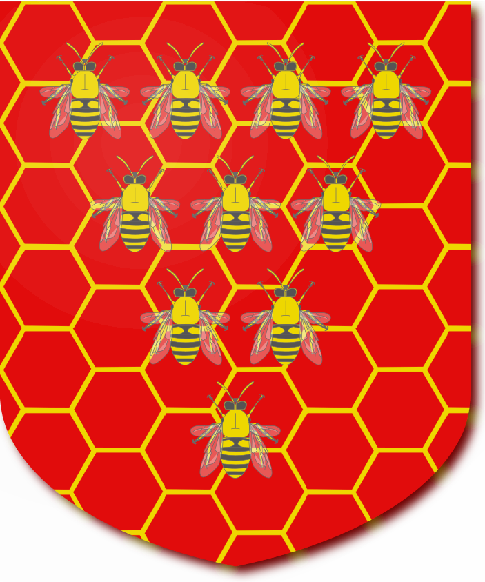 Shield image