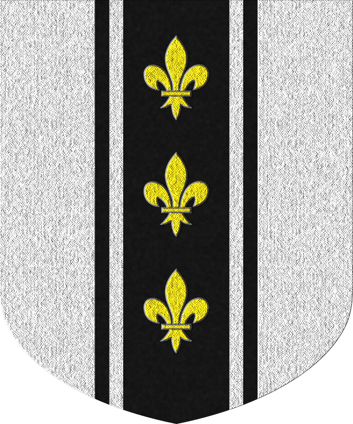 Shield image