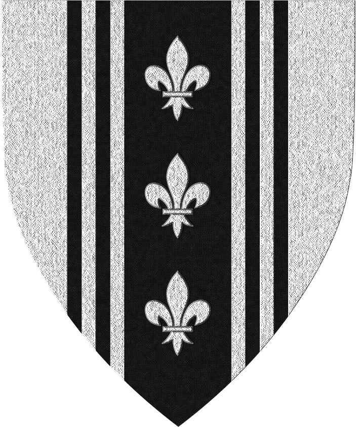 Shield image