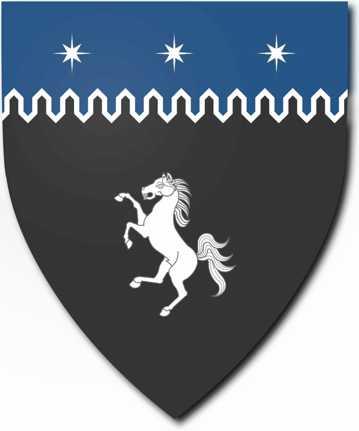 Shield image