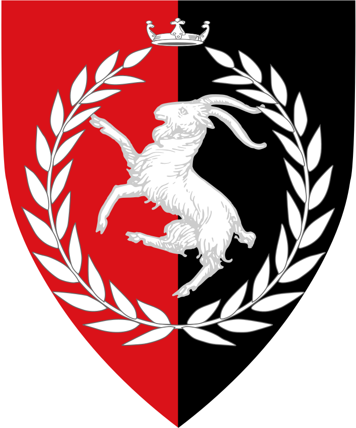 Shield image