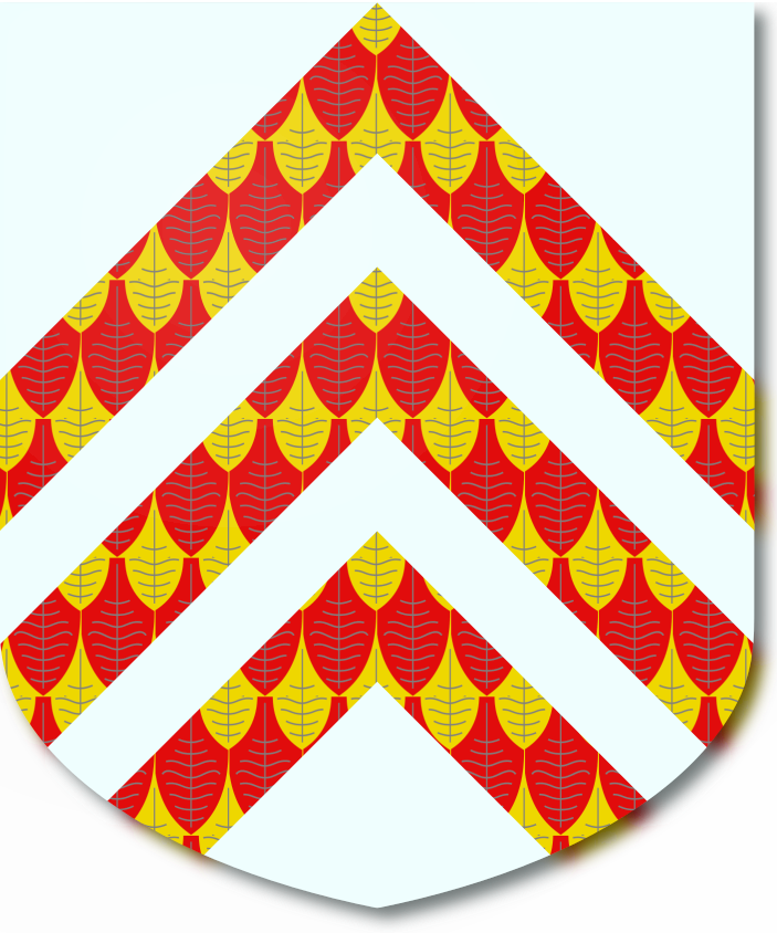 Shield image