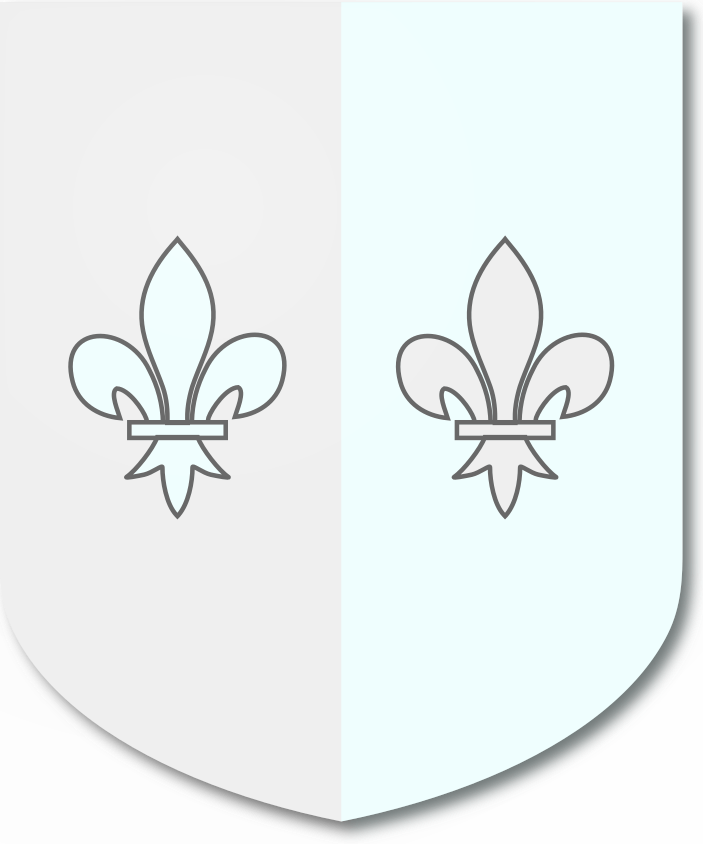 Shield image