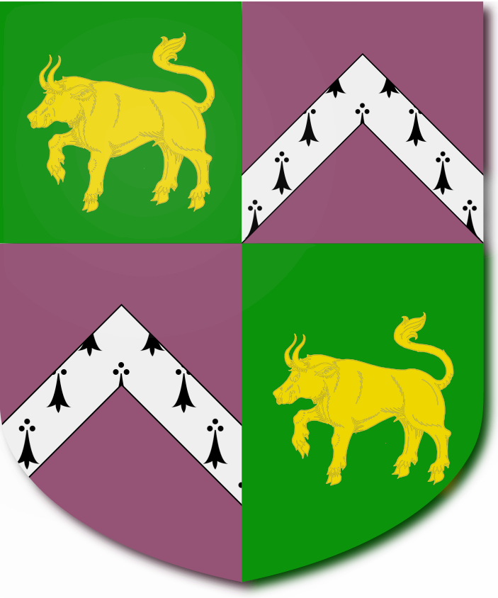 Shield image