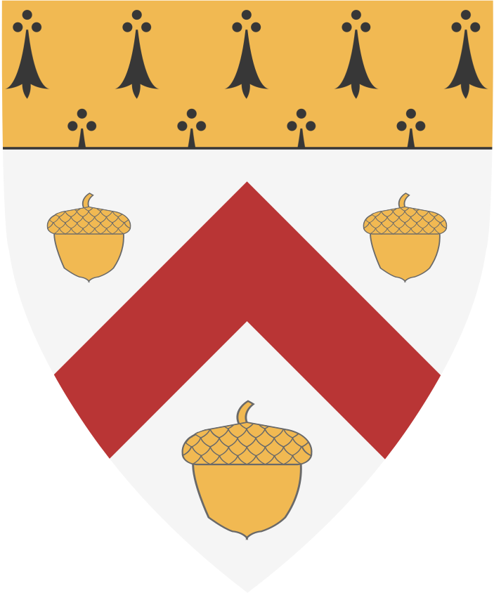 Shield image