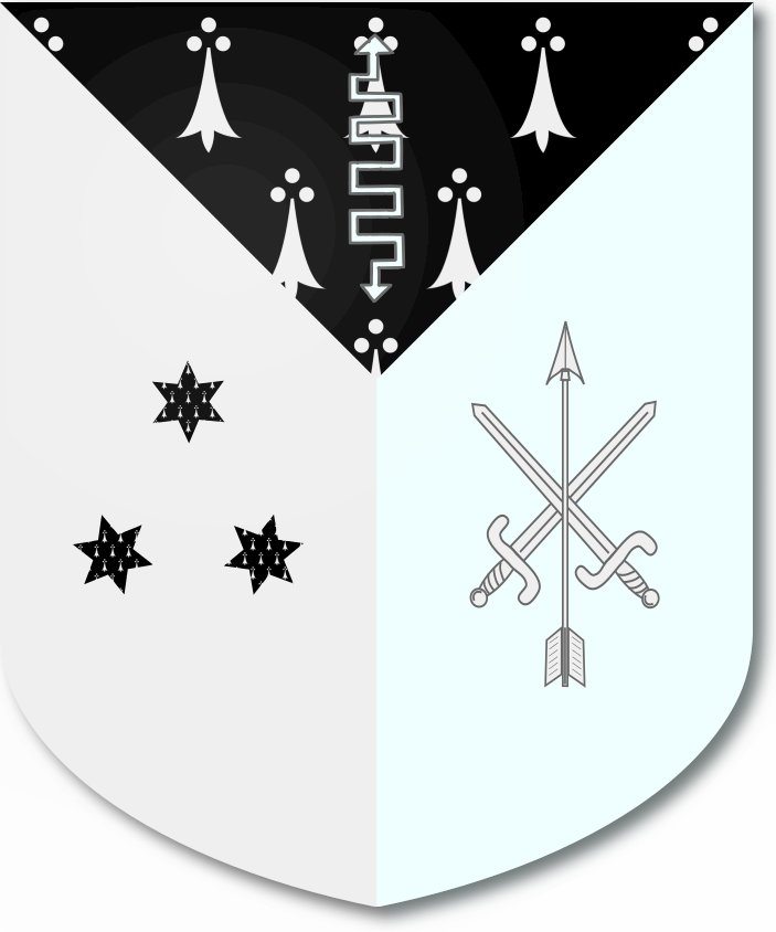 Shield image