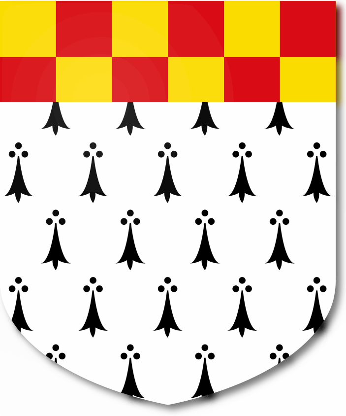 Shield image