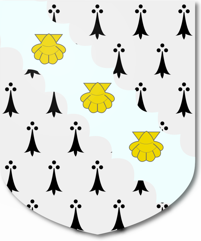 Shield image