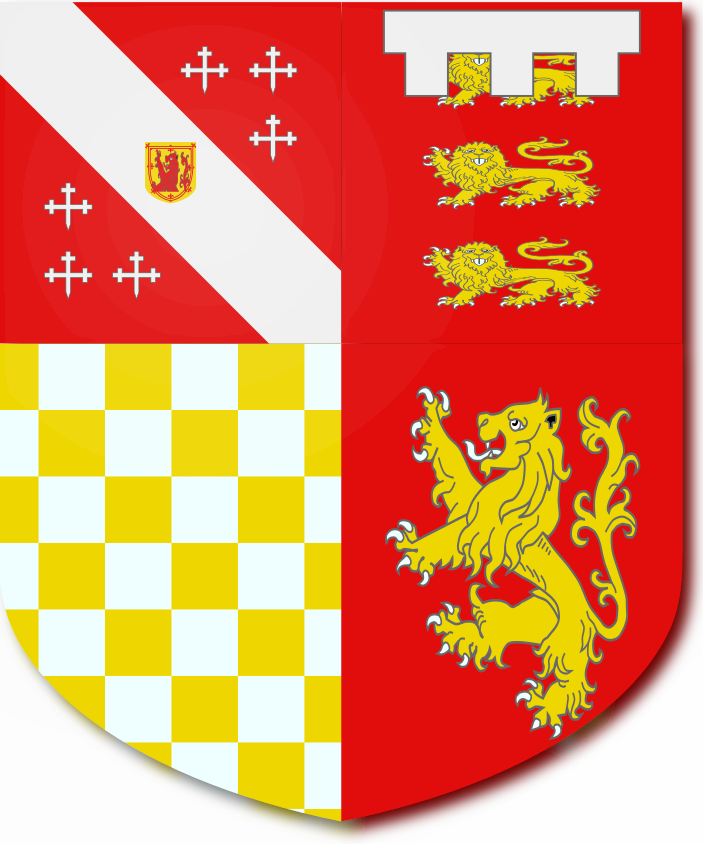 Shield image