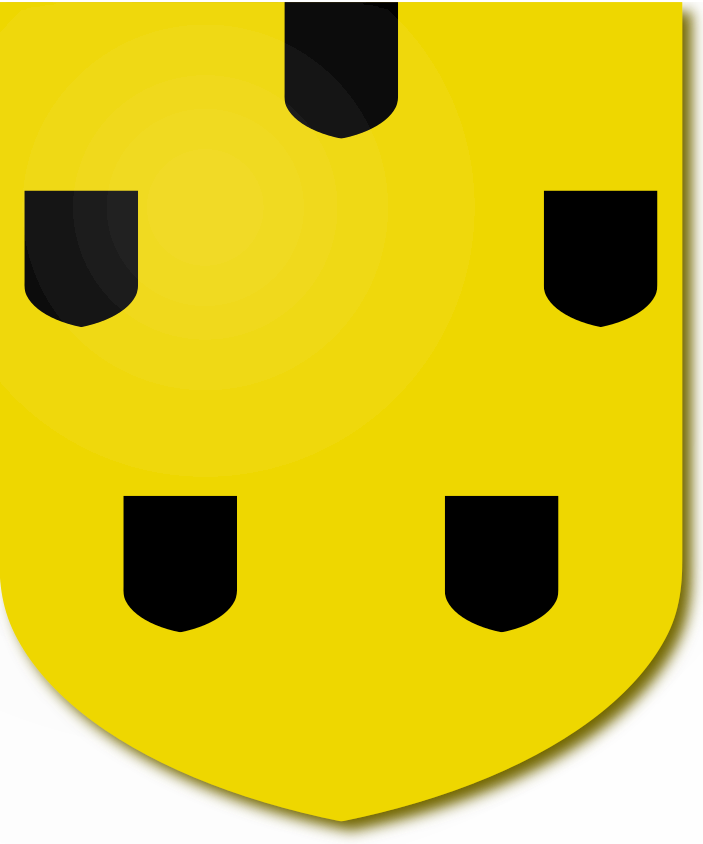 Shield image