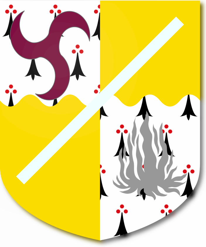 Shield image