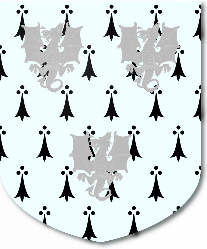 Shield image